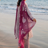 EID COLLECTION