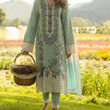 Lawn Collection